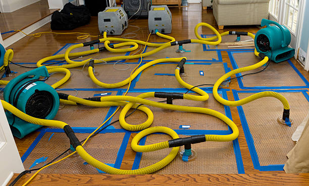Professional Water Extraction technician working in Colfax, IA